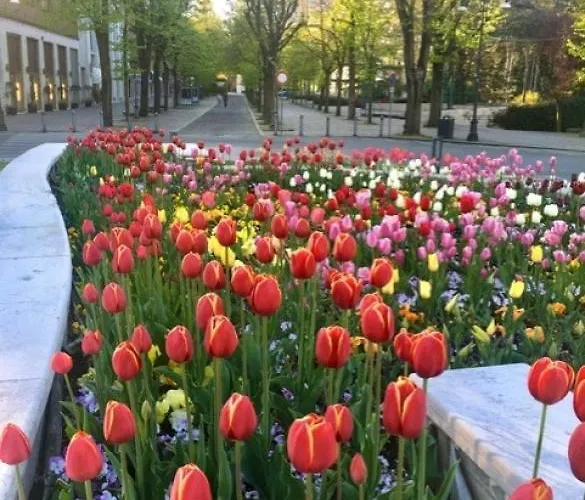 E Breakfast Diana E Ninni Salsomaggiore Terme