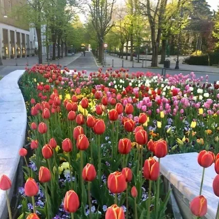 E Breakfast Diana E Ninni Salsomaggiore Terme